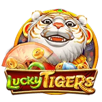 Exciting 8k8 Slot Games